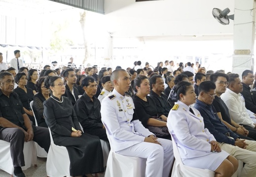 60294938 2409350699108379 6534762491409334272 n