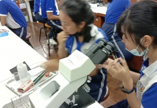 171063 ร.ร.มัธยมจิตจัณ (ช่วงบ่าย) ๒๐๑๐๑๙ 11