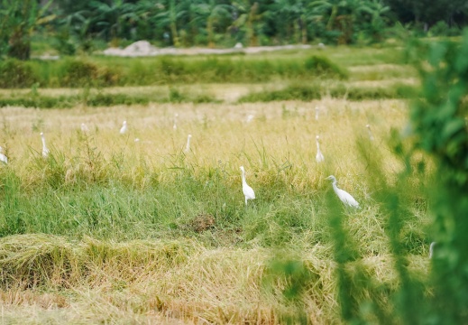 DSC02207
