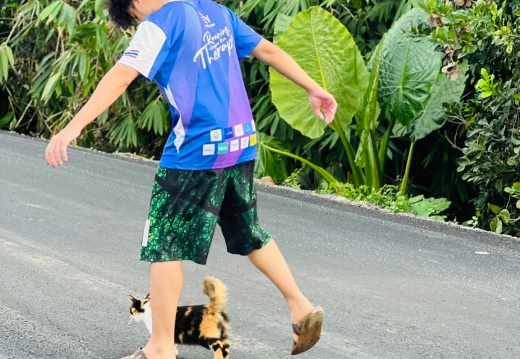 LINE ALBUM ค่ายอาสาโรงเรียนบ้านหัวกาหมิง ครั้งท 133