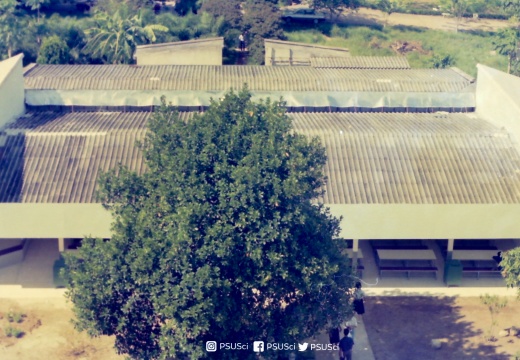 117773618 3263009000443519 3062807804340936566 n