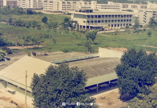 117959604 3263009010443518 1198434537918280846 n