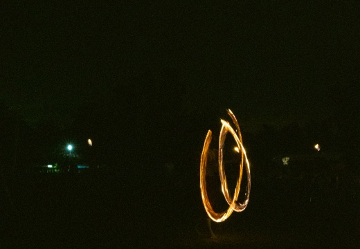 DSC00239