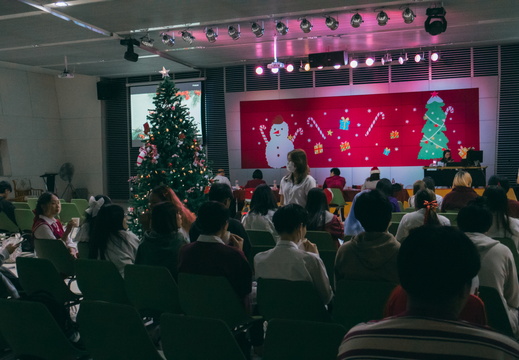 Christmas PSU-100