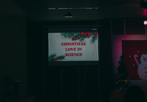 Christmas PSU-105