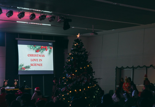 Christmas PSU-110