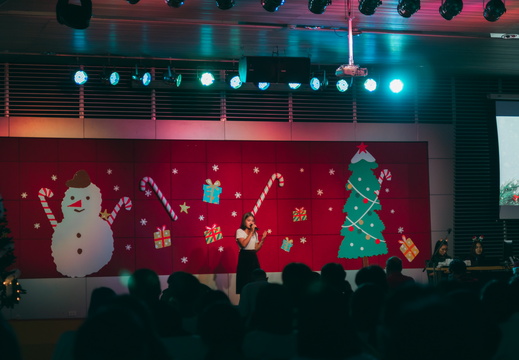Christmas PSU-113