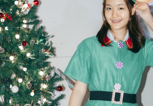 Christmas PSU-097