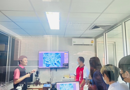 LINE ALBUM 3012567 BE 240131 21