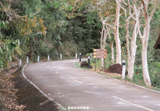 DSC04901