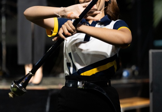 DSC07587
