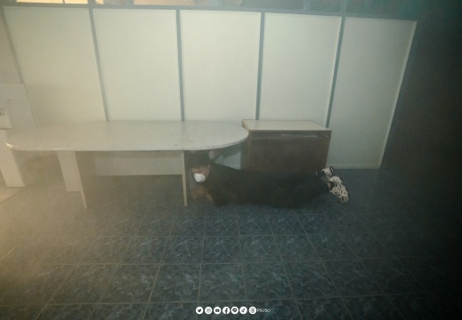 DSC00513