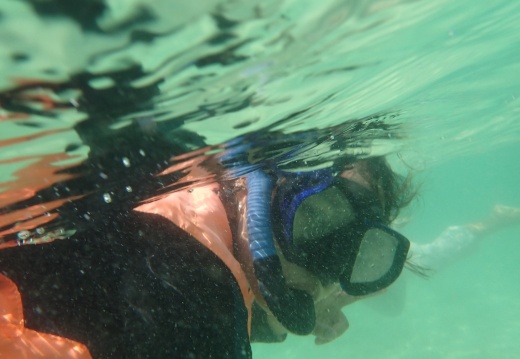 497e798e-60b7-45ec-82ae-70233c691f95