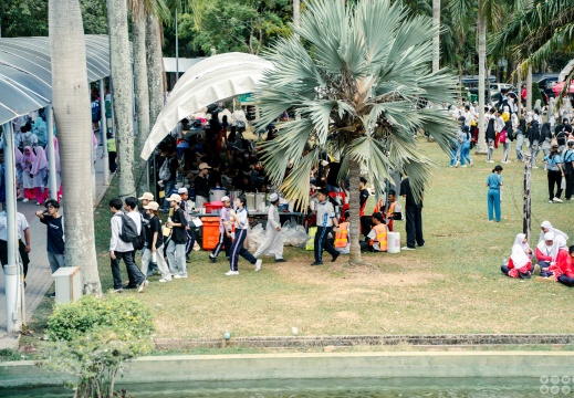 DSC00318