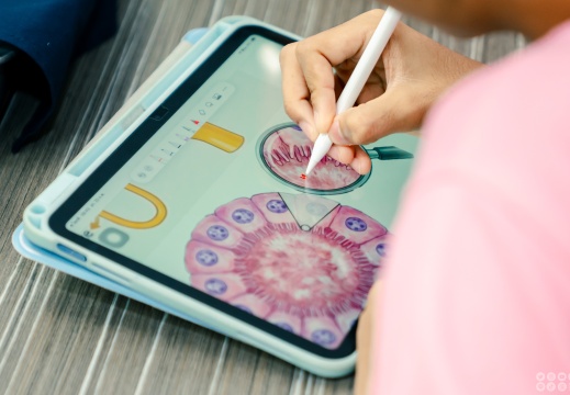 กิจกรรม (เช้า) Exploring the Human Body (Urinary System) 22/02/2569